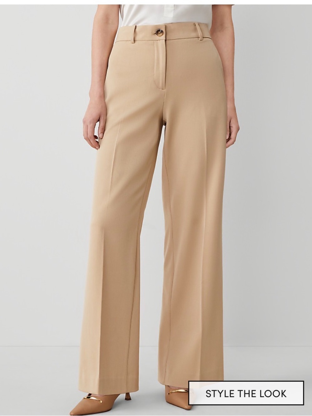 Ann Taylor Wide-Leg Dress Pants in Taupe